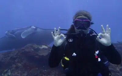 Intrinity Divers
