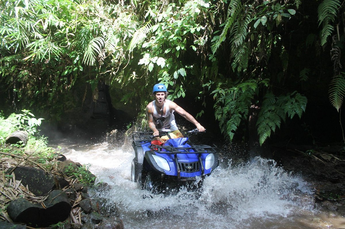 Bali Taro Adventure