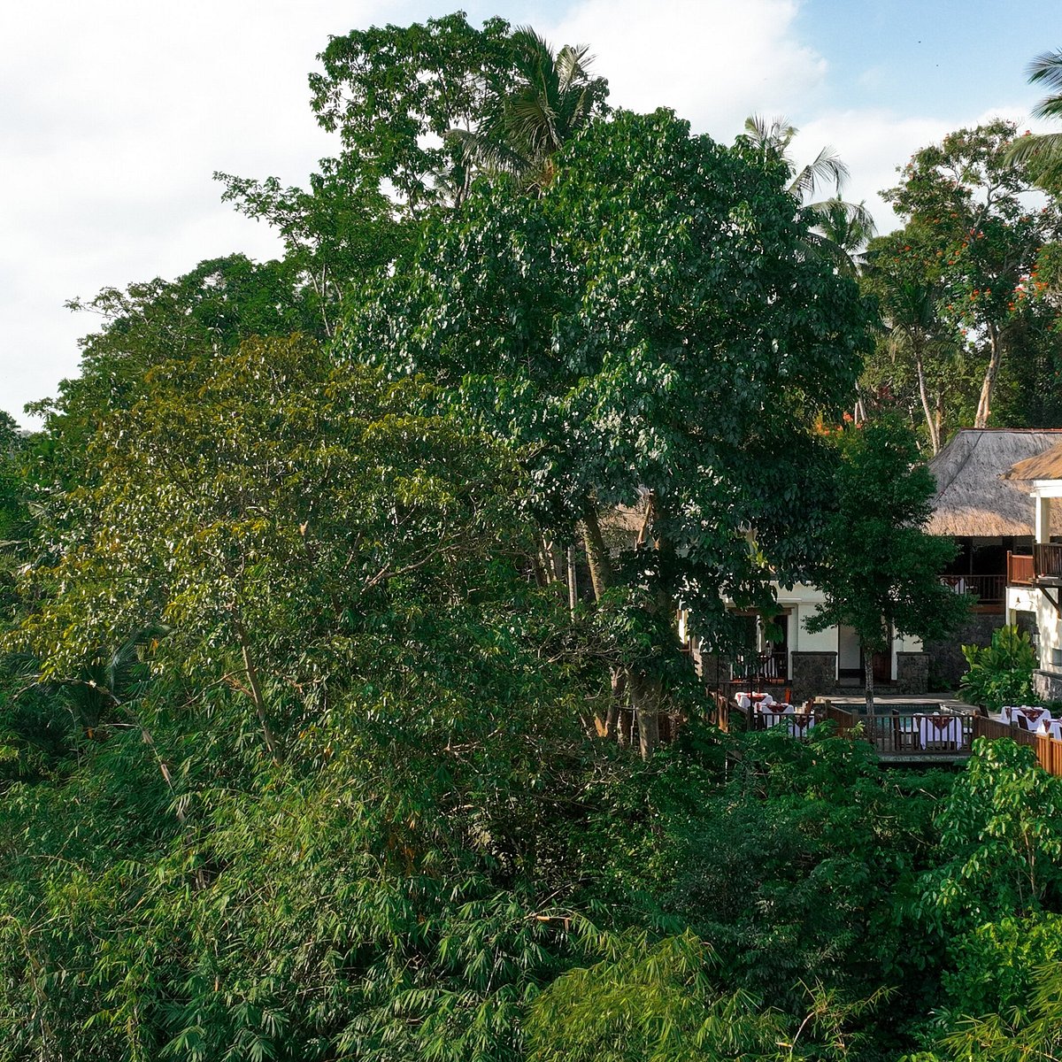 Dining Corner Restaurant
