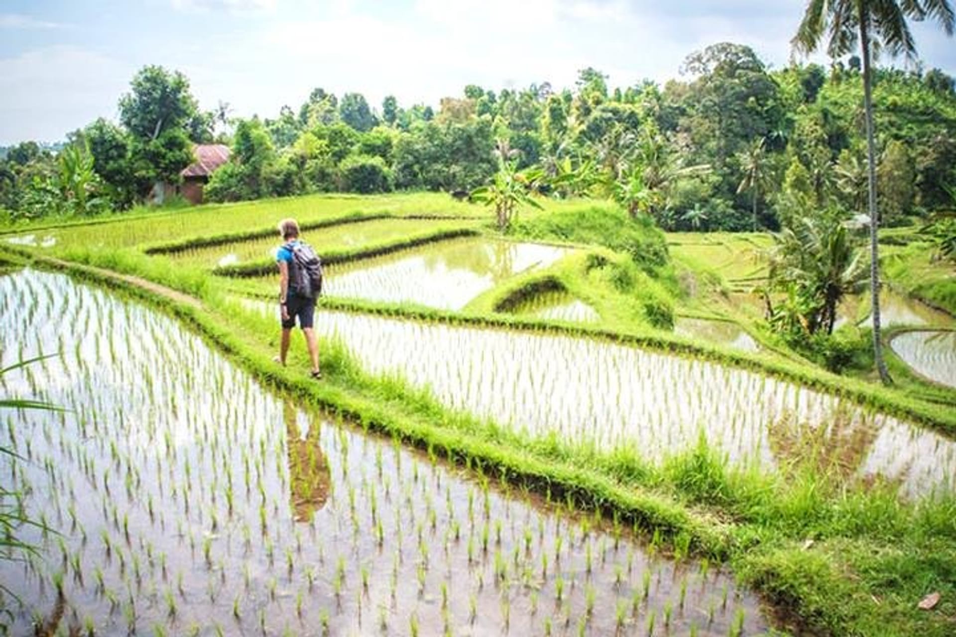 East Bali Tour