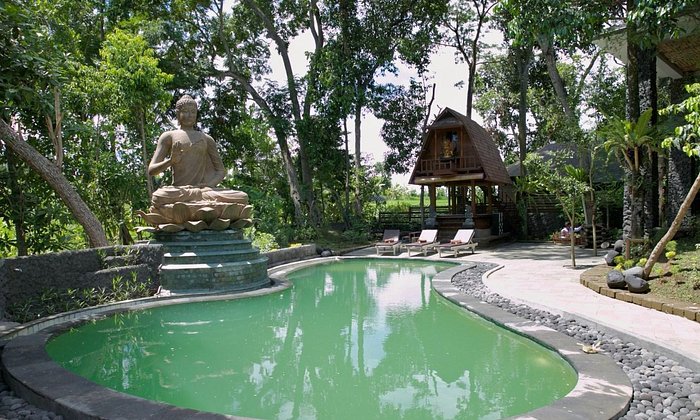 Bali Chy Healing Canggu Padonan Corner