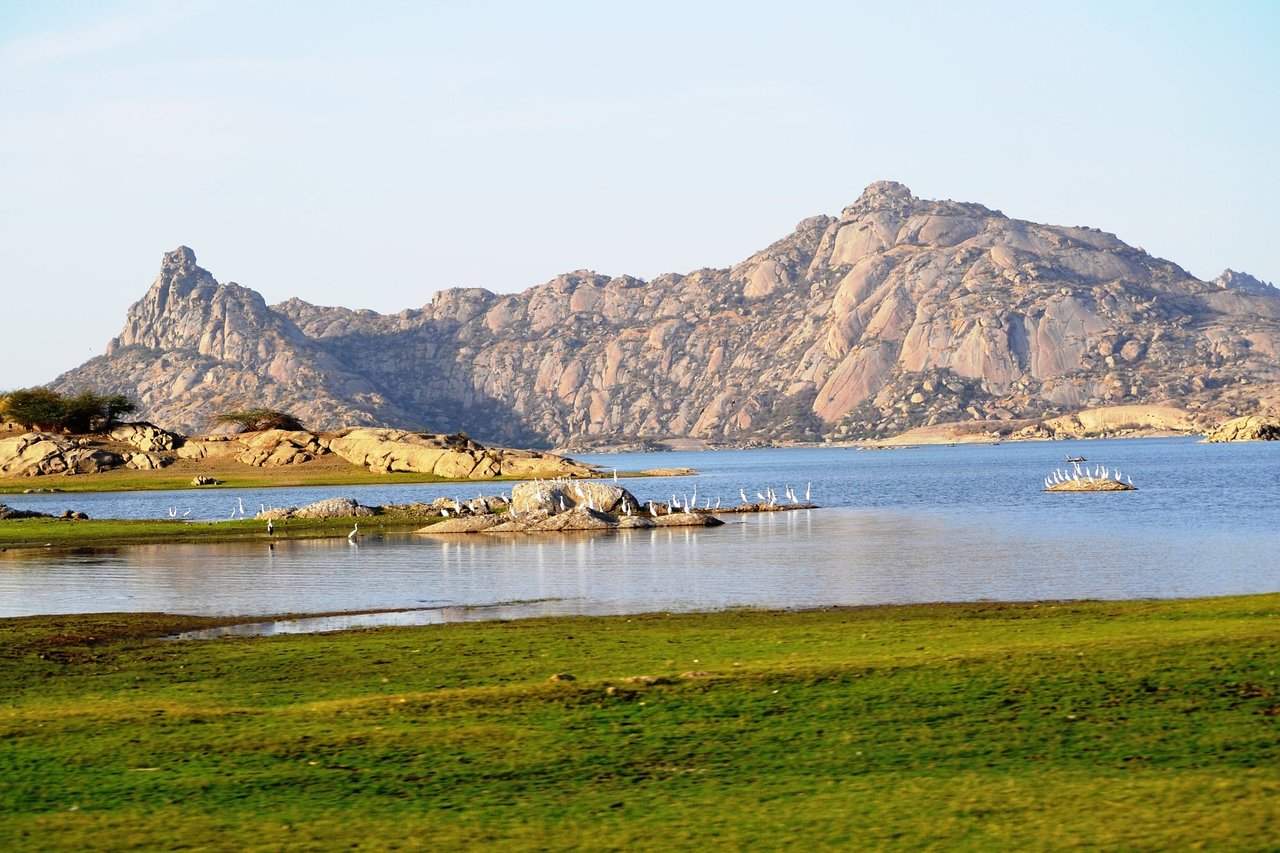 Pali