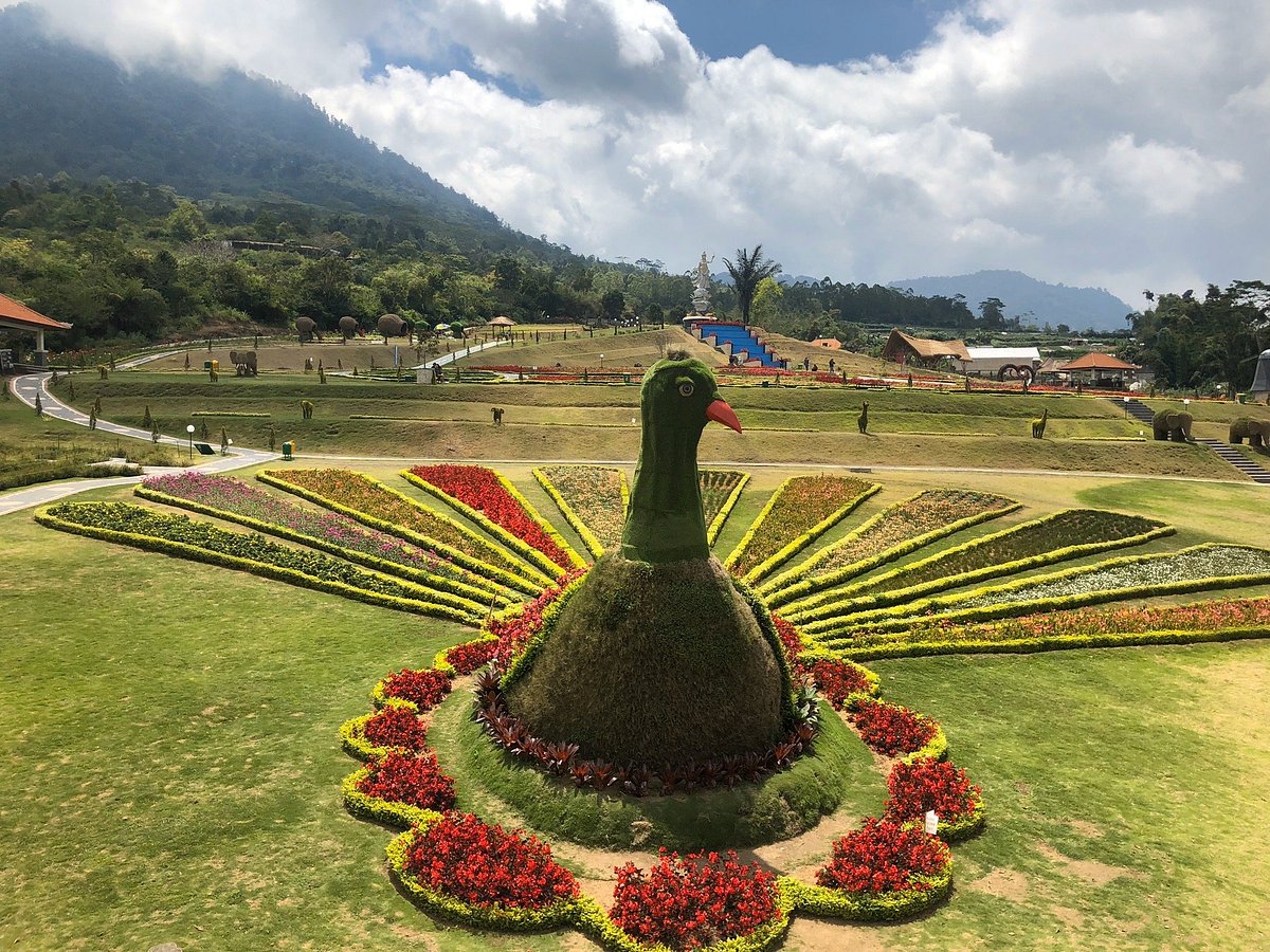 Rio Bali Tours