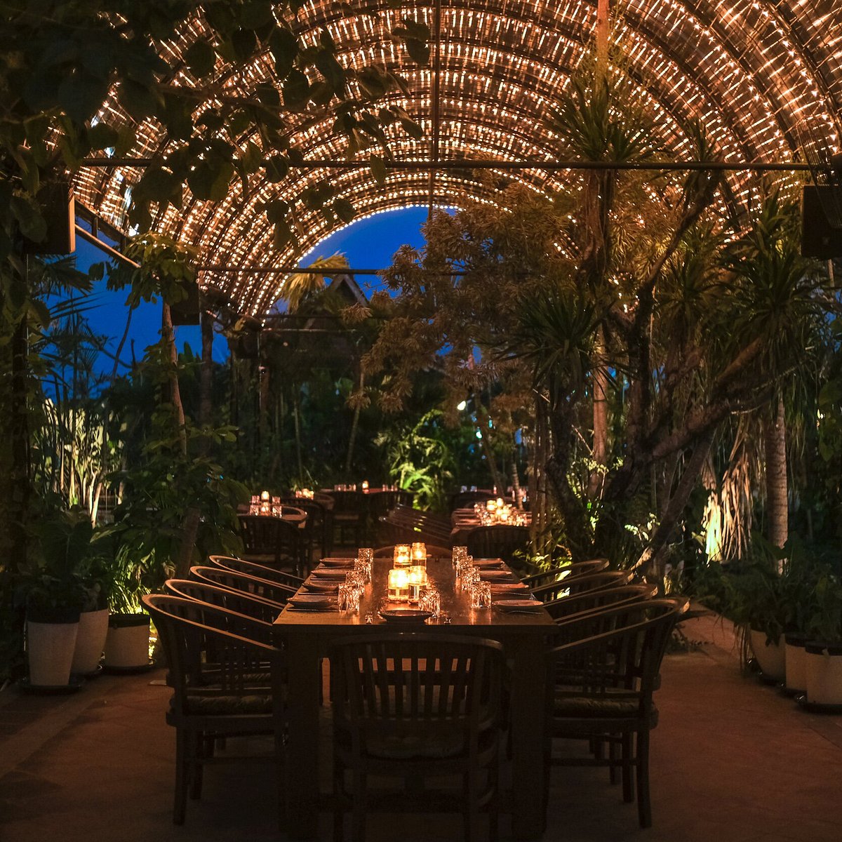 Uma Garden