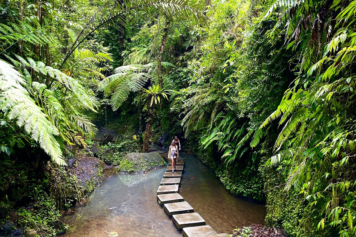 Get Bali Experience