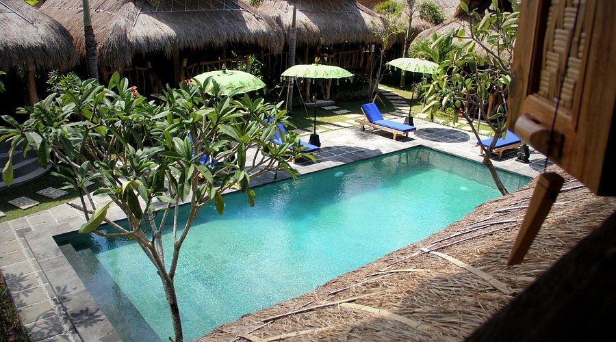 The Calmtree Bungalows